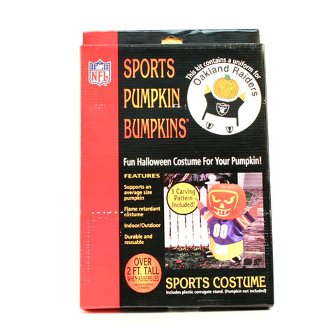 Las Vegas Raiders NFL Halloween Pumpkin Costume