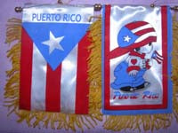 Puerto Rico Boy Mini Banner