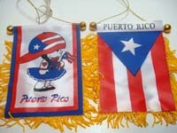 Puerto Rico Girl Mini Banner