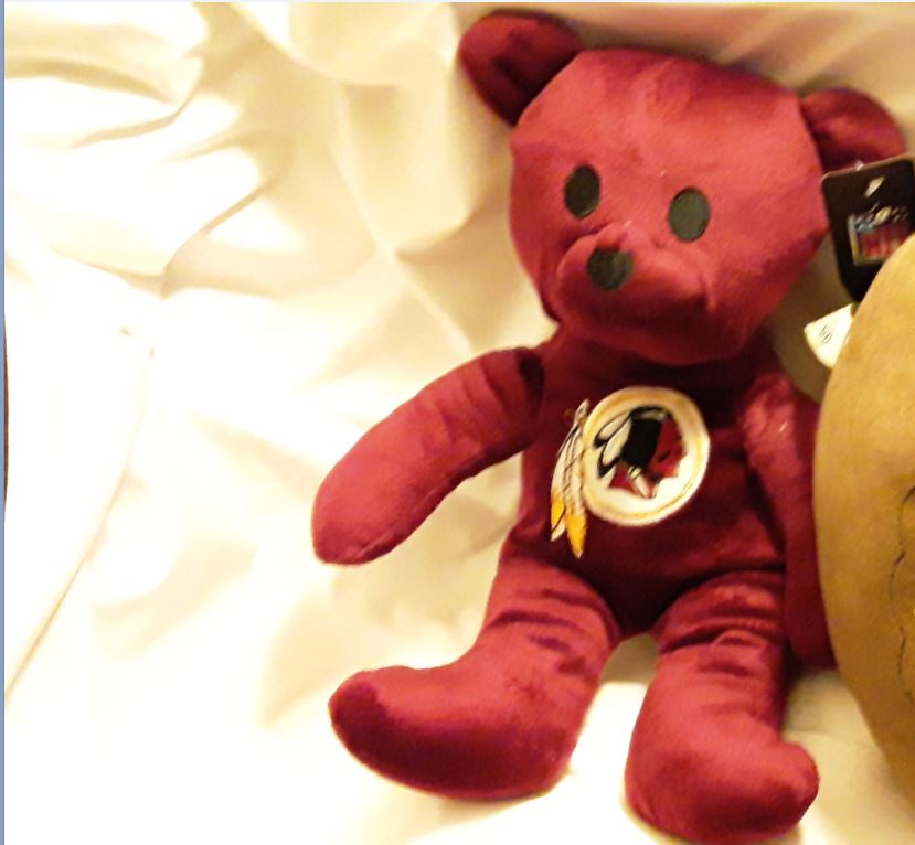 Washington Redskins / Commanders 14 Inch Plush Teddy Bear – Jamestown Gift  Shop