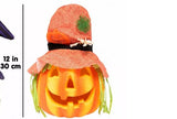 🎃 Halloween 12" Light up Jack O Lantern w Orange Hat + Hair LED Pumpkin