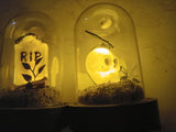 🎃 2 Halloween LED Lit Dome Tombstone + Skull Decorative Cloche Hyde and EEK!