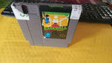 Baseball Nintendo Sport Series NES Original Nintendo Tested MLB Video Game