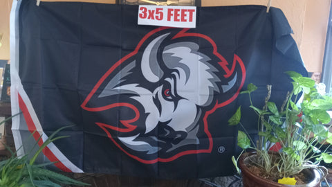 Buffalo Sabres Goat Head Retro Logo NHL 3X5 Feet Flag Banner Pole or Wall Decor