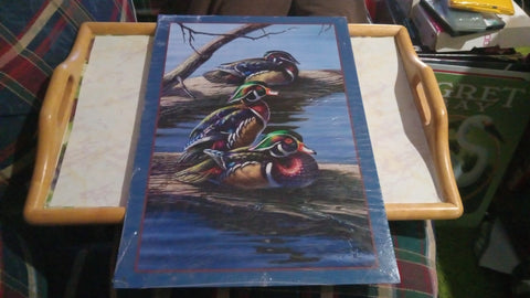 Ducks In The Pond - The Boys - Meger Metal 12.5x17.4 Inch Tin Sign