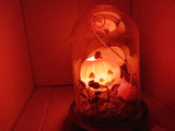 🎃 Halloween LED Lit Plastic Jack-O-Lantern in Dome Decorative Cloche Hyde and EEK!