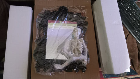 🎃 Halloween Mirror Frame 11x15 With Skeleton Spooky Night