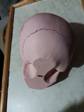 🎃 Halloween Pink Rose Skull 6 Inch Resin Decorative Prop a few cracks