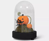 🎃 Halloween LED Lit Plastic Jack-O-Lantern in Dome Decorative Cloche Hyde and EEK!