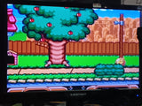 Pac-Man 2 The New Adventures SNES Tested Super Nintendo Video Game