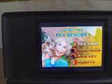 Paws & Claws Pet Resort GBA Tested Nintendo Gameboy Advance Video Game