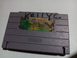 Pitfall The Mayan Adventure SNES USED Super Nintendo Video Game