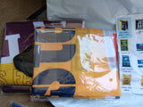 Pittsburgh Steelers 2005 Super Bowl Champion 3x5 Ft Flag