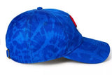 Pokeball Pokémon Dad Hat Blue Baseball Cap