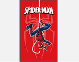 Spiderman Logo 3x5 Flag