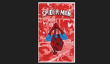 Spiderman Venom 3x5 Comics Strip Flag