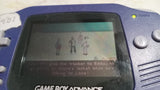 That's So Raven Tested Nintendo Gameboy Advance Video Game