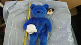 WWF Attitude Bear Al Snow WWE Plush Toy Teddy Bear Doll