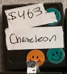 Chameleon Used Nintendo DS Video Game